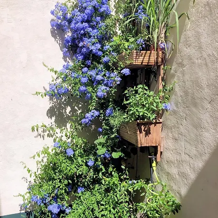 Grande D'hotes Penzion